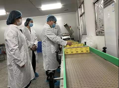 同心抗疫，，，，，确保质量！PP电子5金狮公司振隆厂外车间接受广药集团生产监视包管小组事情督导