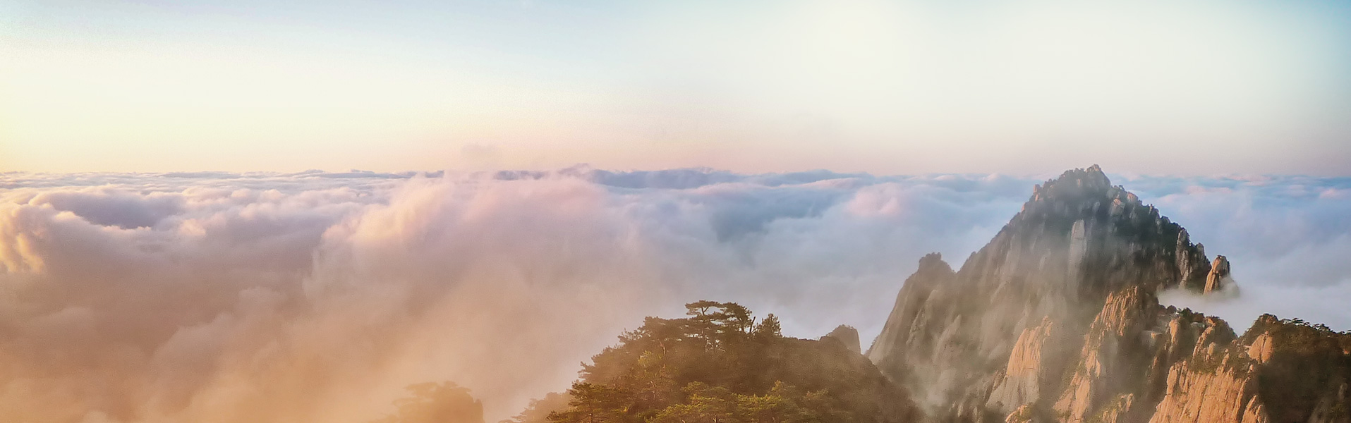 PP电子5金狮·(中国区)游戏官方网站